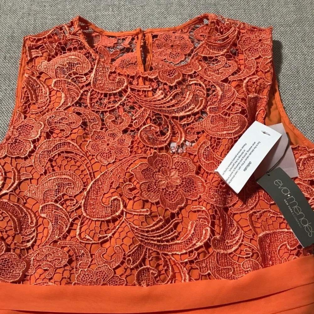 NY & Co Orange Lace Fit & Flare Dress Sz 8 NEW - Picture 4 of 7